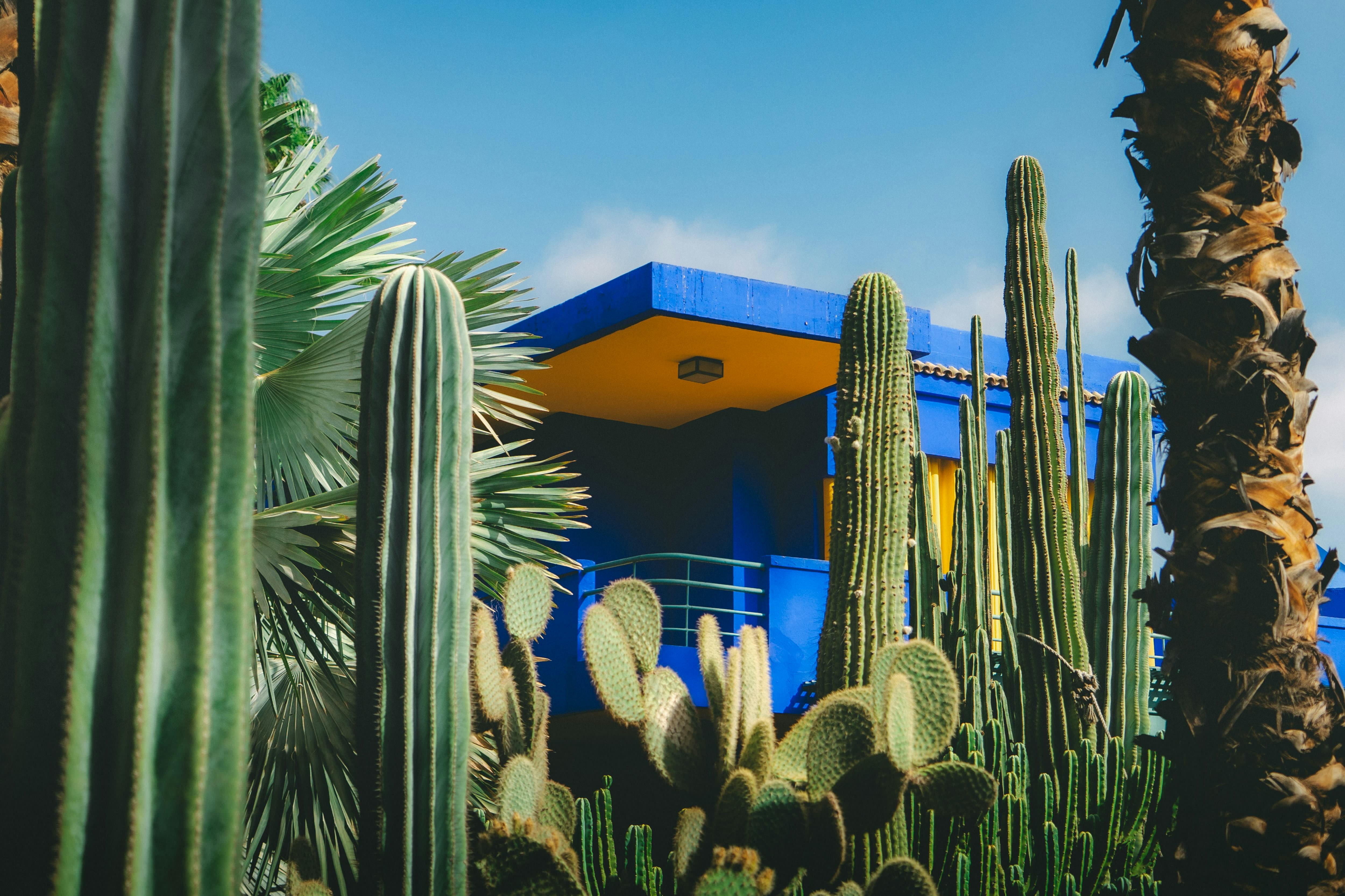 Majorelle Garden